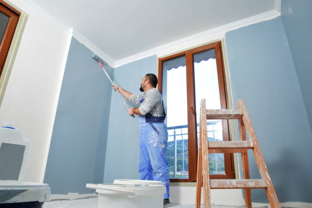 Mold Odor Removal Services in Lindenhurst, IL
