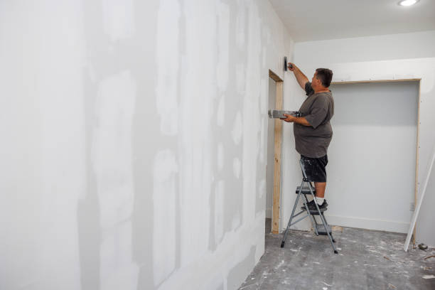 Best Emergency Mold Remediation  in Lindenhurst, IL