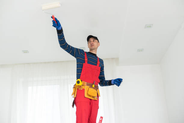 Best Airborne Mold Testing  in Lindenhurst, IL