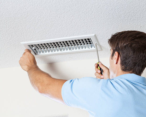 Best Mold Damage Restoration  in Lindenhurst, IL