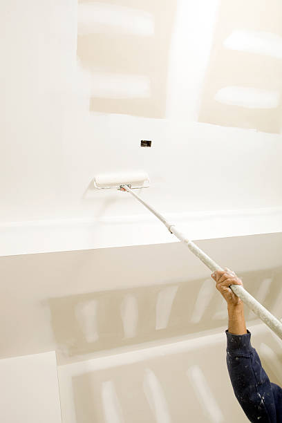 Best Water Damage & Mold Remediation  in Lindenhurst, IL