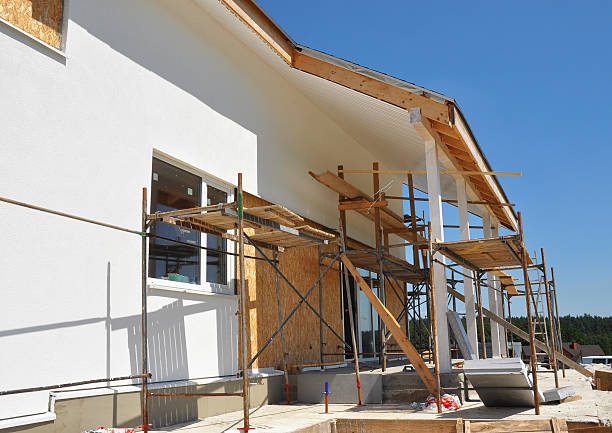 Best Post-Construction Mold Inspection  in Lindenhurst, IL
