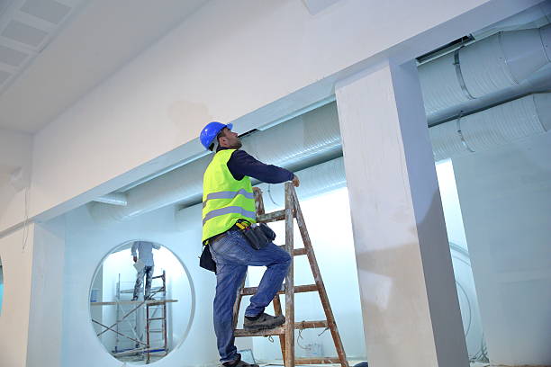 Best Biohazard Mold Removal  in Lindenhurst, IL